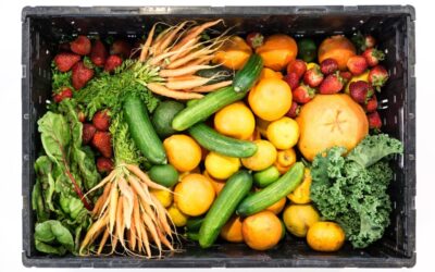 Fruit and Veg Delivery Near Me – A Search Guide
